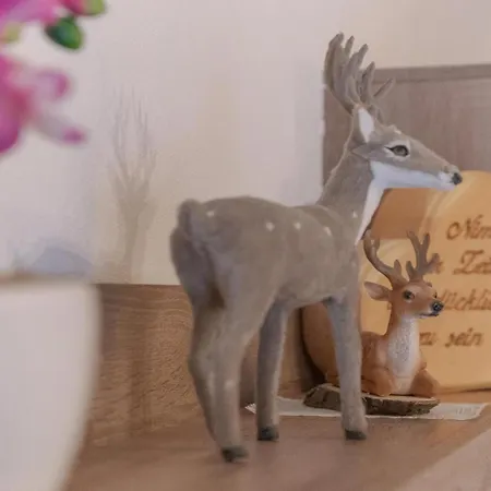 Appartement Haus Stern Neustift im Stubaital