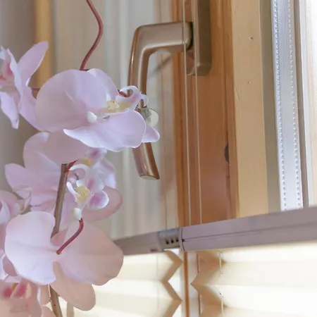 Haus Stern Appartement *