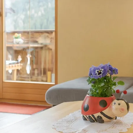 Haus Stern アパート