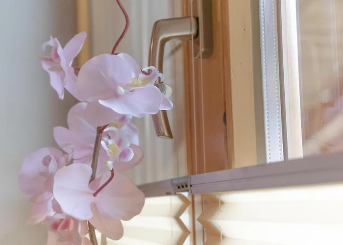 Haus Stern 아파트 *